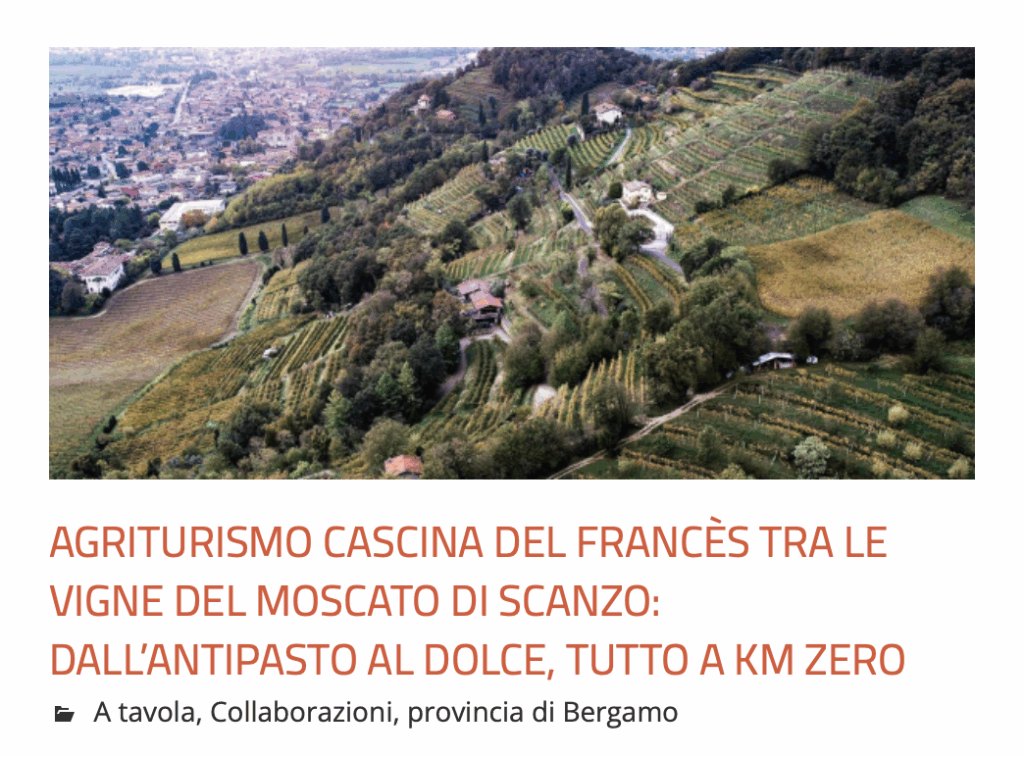 Articolo-Cosedibergamo