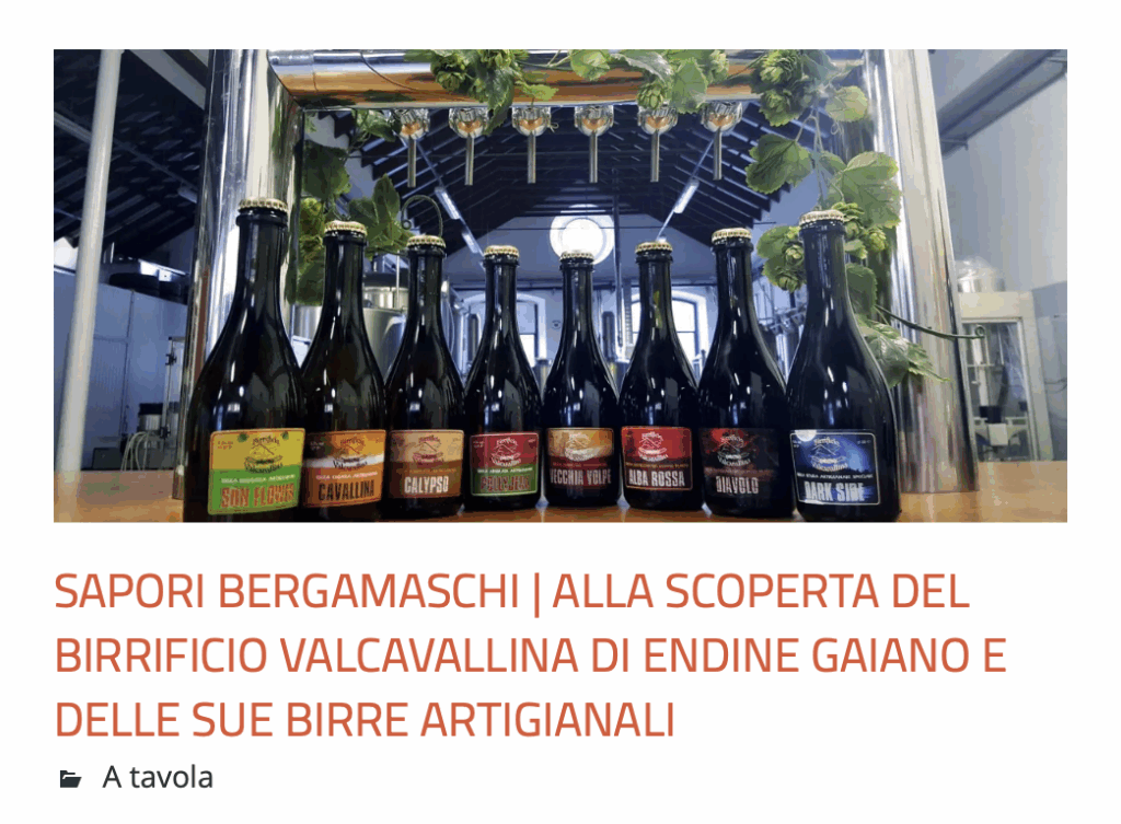 Articolo-Cosedibergamo