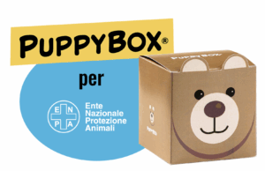Puppy Box