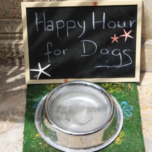 giornata-mondiale-degli-animali-turismo-pet-friendly 2